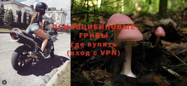 дживик Армянск