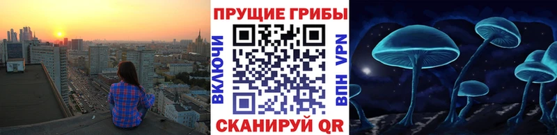 Псилоцибиновые грибы мицелий  сколько стоит  Сухиничи 