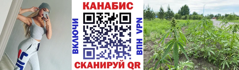 купить наркотик  Сухиничи  Каннабис Bruce Banner 